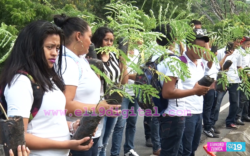 vivero
